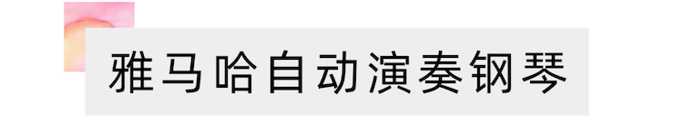 活动报道 | “科技助力，跨越时空”，小鹿纯子携手刘明康共享中日音乐盛宴